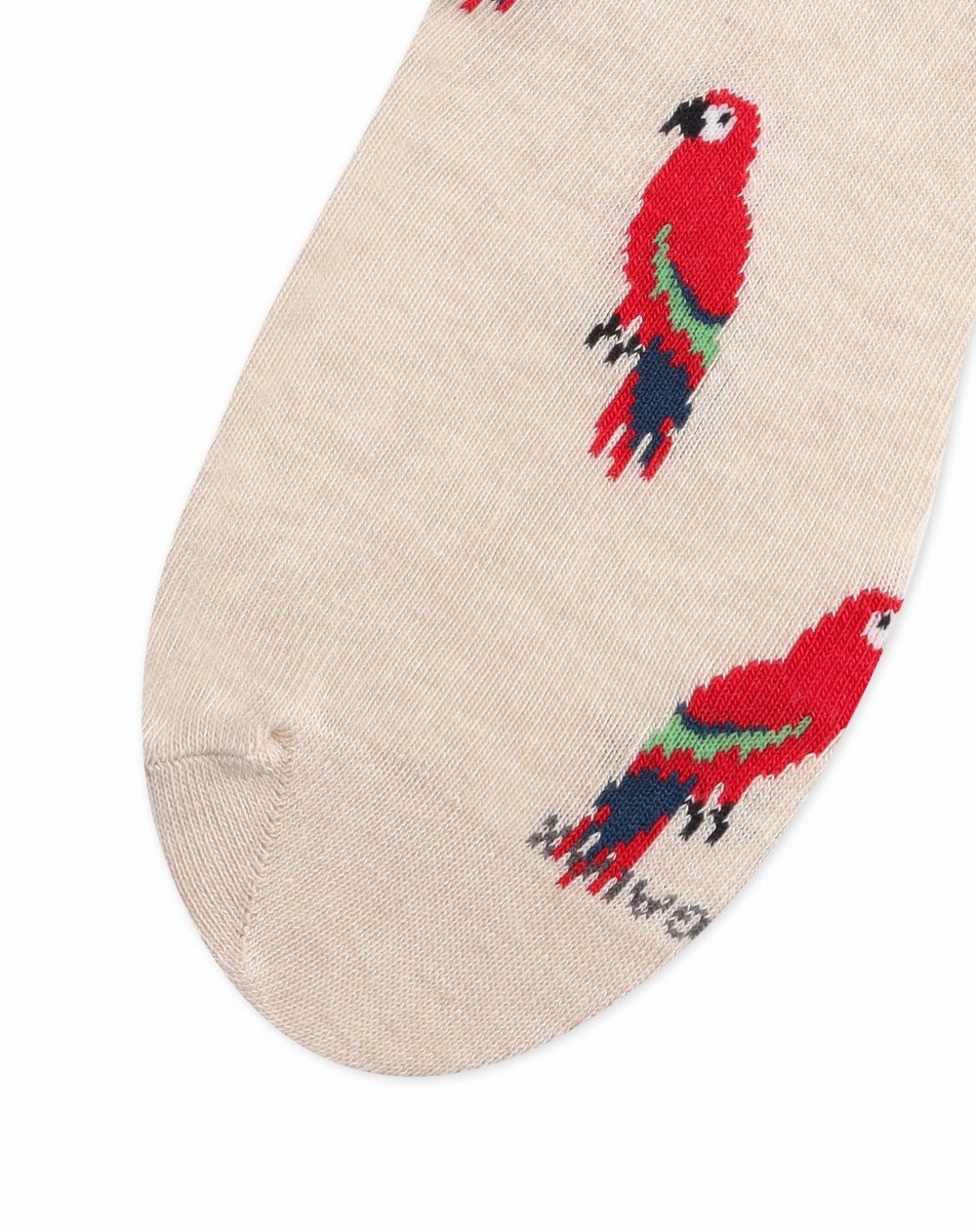 Medias edición especial largas beige con guacamayas + tobilleras cortas blancas