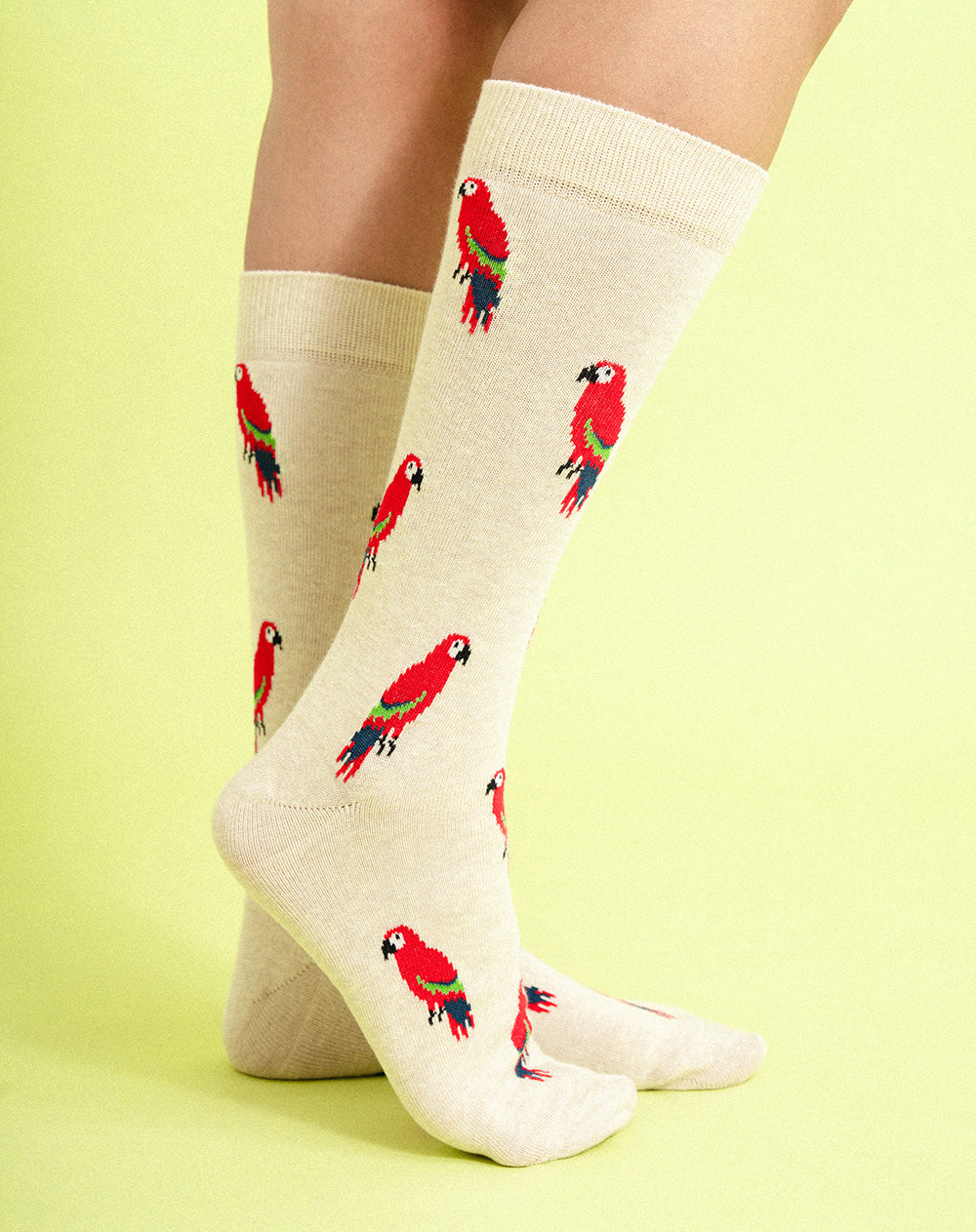 Medias edición especial largas beige con guacamayas + tobilleras cortas blancas